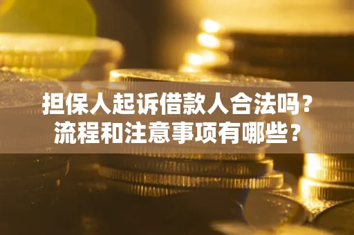 武汉担保人起诉借款人合法吗？流程和注意事项有哪些？