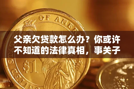 武汉父亲欠贷款怎么办？你或许不知道的法律真相，事关子女未来