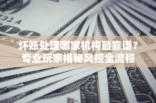 武汉坏账处理哪家机构最靠谱？专业玩家揭秘风控全流程