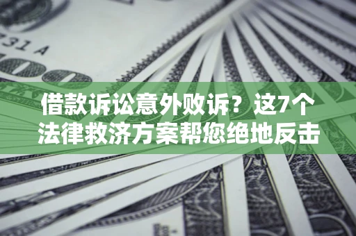 武汉借款诉讼意外败诉？这7个法律救济方案帮您绝地反击！