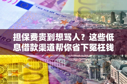 武汉担保费贵到想骂人？这些低息借款渠道帮你省下冤枉钱