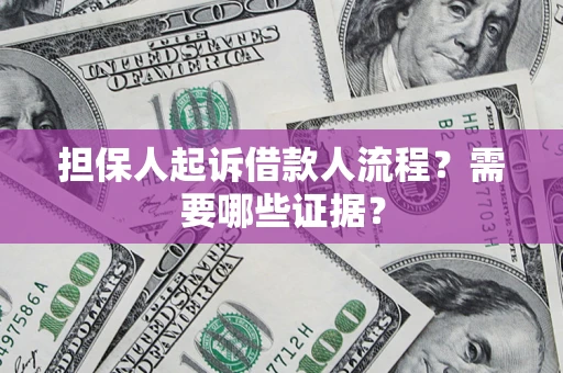 武汉担保人起诉借款人流程？需要哪些证据？