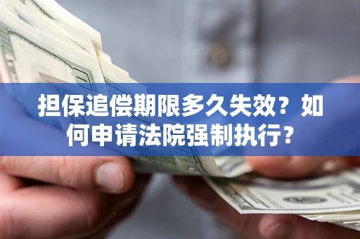 武汉担保追偿期限多久失效？如何申请法院强制执行？
