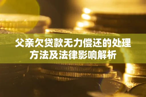 武汉父亲欠贷款无力偿还的处理方法及法律影响解析