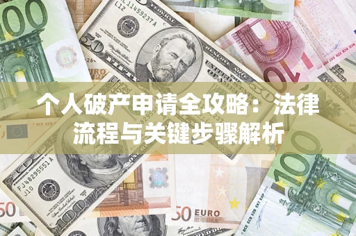 武汉个人破产申请全攻略：法律流程与关键步骤解析