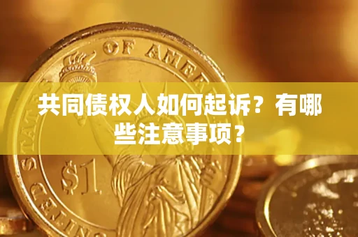 武汉共同债权人如何起诉？有哪些注意事项？